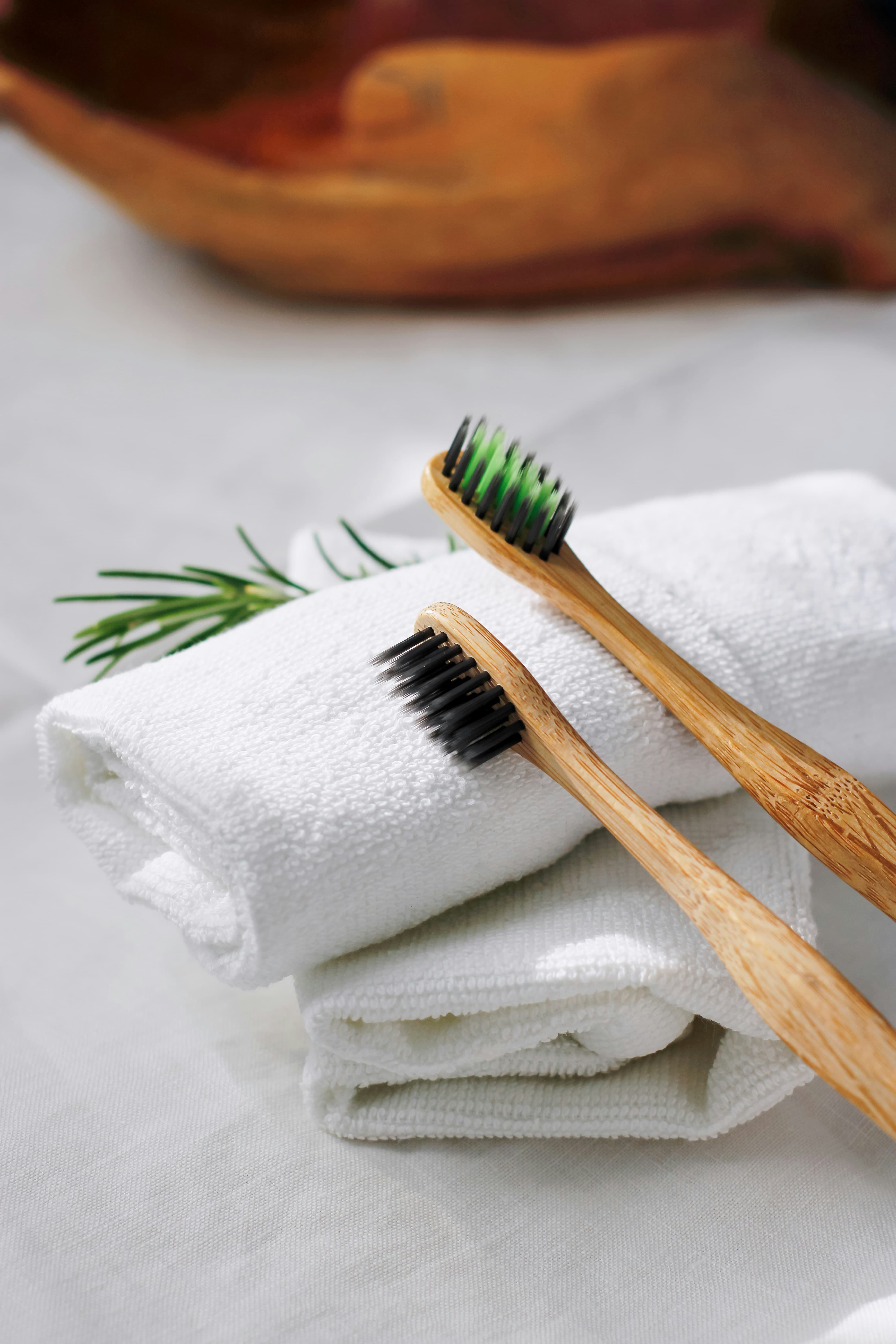 Bamboo Toothbrush Set